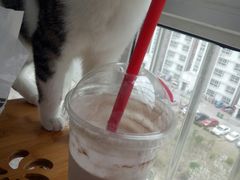 -DQ·蛋糕·冰淇淋(金鼎购物中心店)
