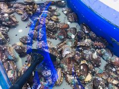-澜悦港海鲜体验主题餐厅