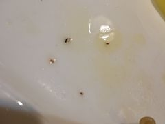 -红鼎坊·老成都火锅(新南门店)