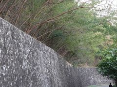 -小南山公园