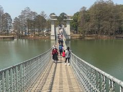 -东湖落雁景区