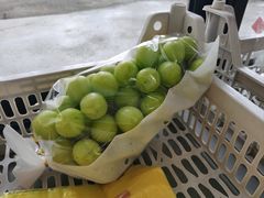 -马陆小张葡萄园农家乐