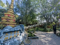 -瑞丽独树成林风景区