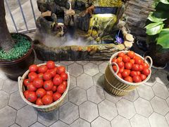 -蕃茄述·好汤自然来(江汉路店)