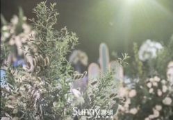 -Sunny喜铺婚礼策划(东部店)