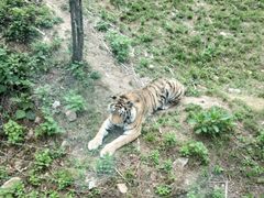 -西安秦岭野生动物园