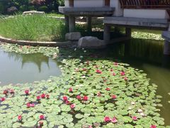 -南普公园