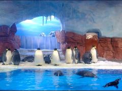 -海合安成都极地海洋公园