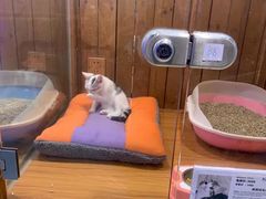 -龟与熊猫宠物公园(南坪店)