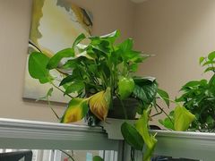 -盒悦高端盒饭(中海国际中心店)