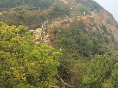 -梧桐山风景名胜区