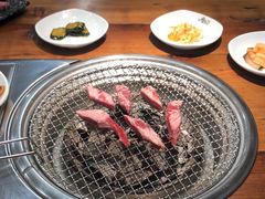 -帽儿山国家森林公园