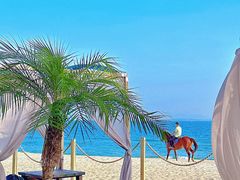 -精酿农场Brew Farm·沙漠绿洲餐厅