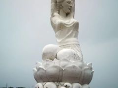 -荷塘月色湿地公园·向阳花洲