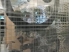 -CoCo都可(360丰产店)