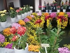 -杭州植物园