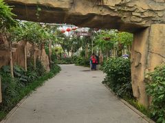 -南宫五洲植物乐园