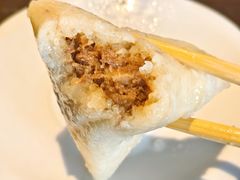 -金珠肉粽
