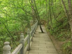 -塔云山