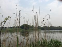 梁鸿国家湿地公园-梁鸿国家湿地公园