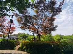 -白马涧龙池景区