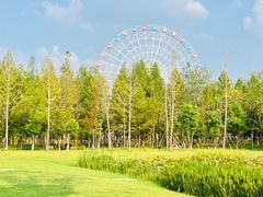 -洋湖国家湿地公园