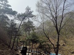 -山叶口景区