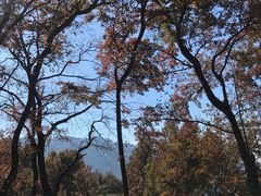 -广州市石门国家森林公园