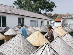 -苏州市吴中区光福窑上花果蜜饯厂