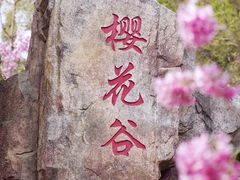 -狐尾山公园
