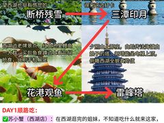 -西湖文化广场