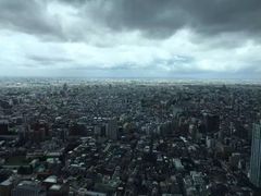-东京都厅舍