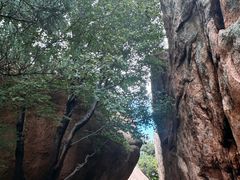 -崂山仰口游览区