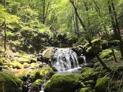-牛背梁国家森林公园