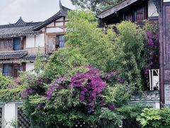 -黄龙溪古镇