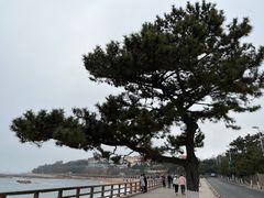 -八大关景区
