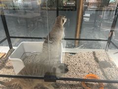 -瑞虹新天地月亮湾