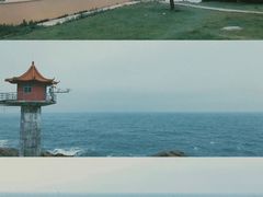 -小麦岛公园