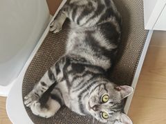 -贝来恩24H动物医院·转诊中心(稻香路店)