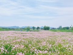 -良渚古城遗址公园
