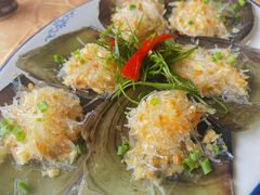 粉丝蒸元贝-梅姐海鲜餐厅(水头海鲜街店)