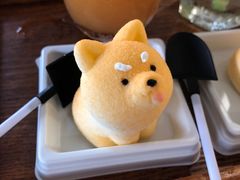 -柴犬高等学院·狗咖·柴犬售卖·宠物训练