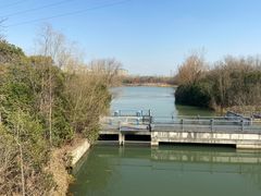 -昆山城市生态森林公园