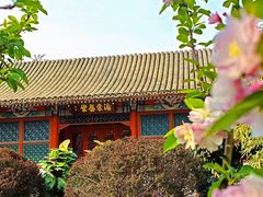 -海棠花溪(元大都城垣遗址公园)