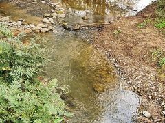 -桤木河湿地公园