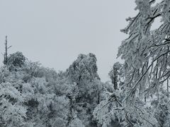 -峨眉山风景名胜区