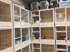 -猫宠乐园·专业洗护