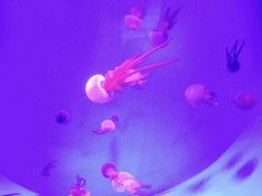 -常州海昌海洋探索馆