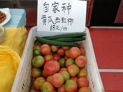 -渔民船说·北塘海鲜·天津菜·海肠捞饭(北塘古镇店)