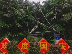 -北海市海滨公园